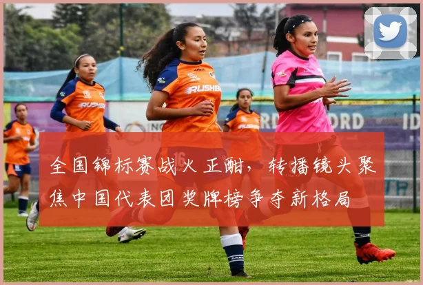 全国锦标赛战火正酣，转播镜头聚焦中国代表团奖牌榜争夺新格局