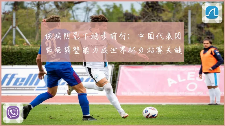 伤病阴影下稳步前行：中国代表团临场调整能力成世界杯分站赛关键